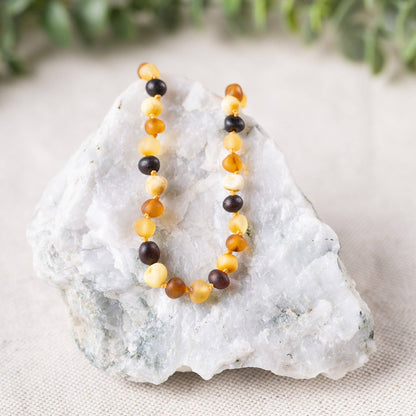 Raw Multi Baltic Amber Necklace