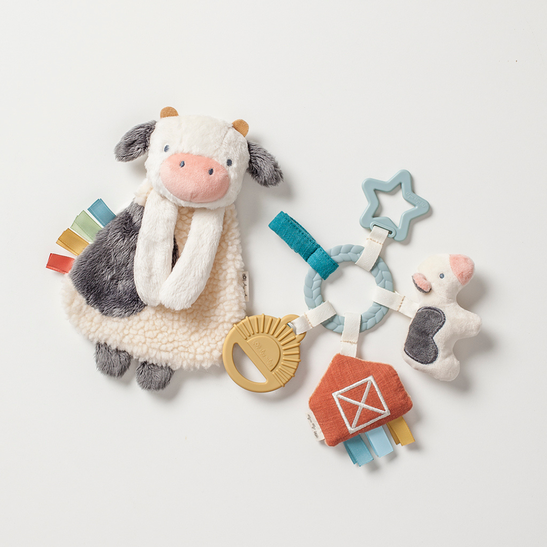 Bitzy Busy Gift Set™ Farm